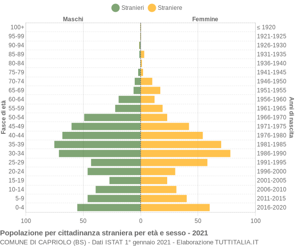 Grafico cittadini stranieri - Capriolo 2021