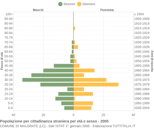Grafico cittadini stranieri - Malgrate 2005