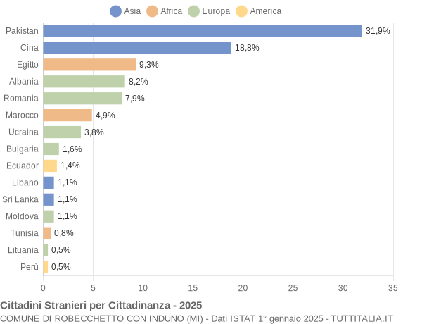 Grafico cittadinanza stranieri - Robecchetto con Induno 2025