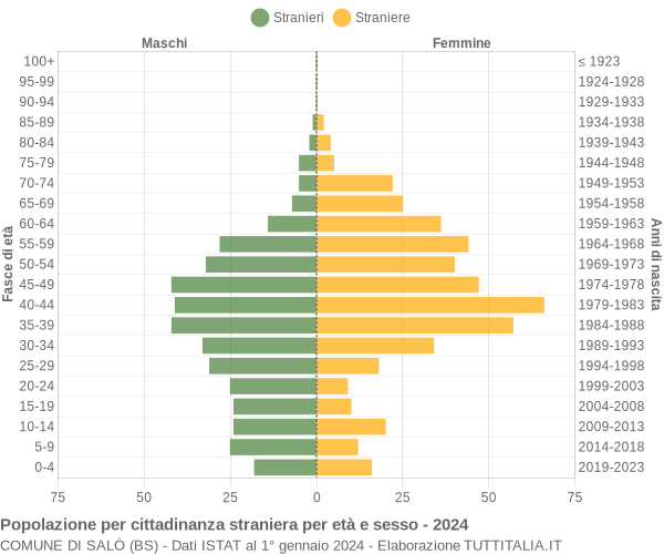 Grafico cittadini stranieri - Salò 2024