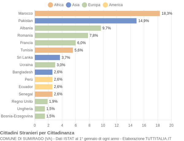 Grafico cittadinanza stranieri - Sumirago 2008