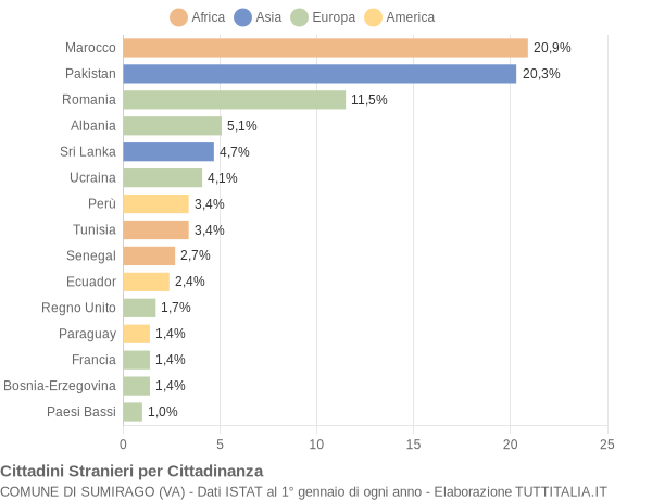 Grafico cittadinanza stranieri - Sumirago 2013