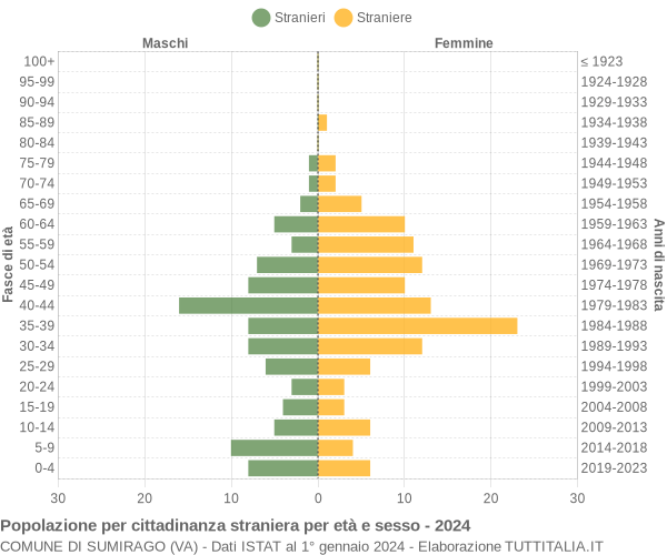 Grafico cittadini stranieri - Sumirago 2024