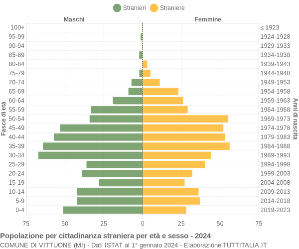 Grafico cittadini stranieri - Vittuone 2024