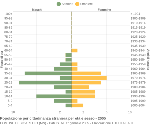 Grafico cittadini stranieri - Bigarello 2005