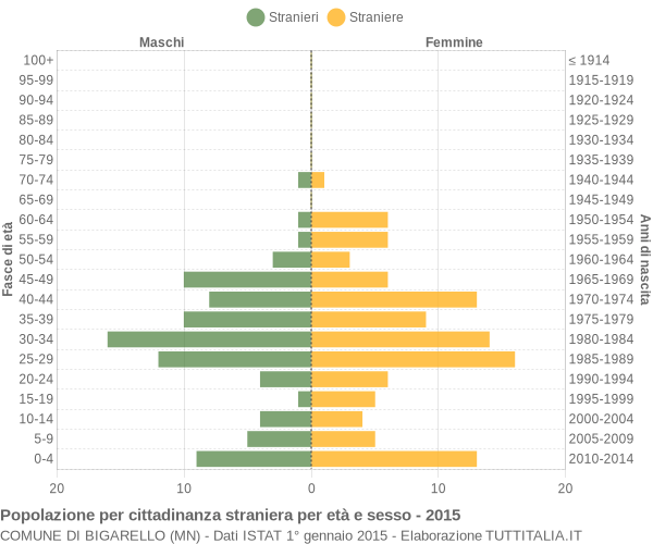 Grafico cittadini stranieri - Bigarello 2015