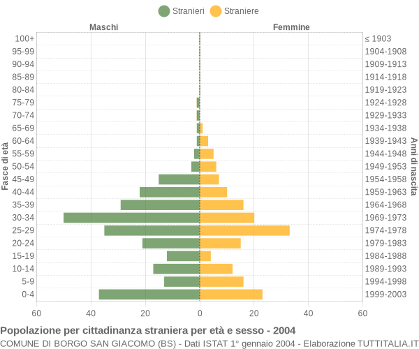 Grafico cittadini stranieri - Borgo San Giacomo 2004