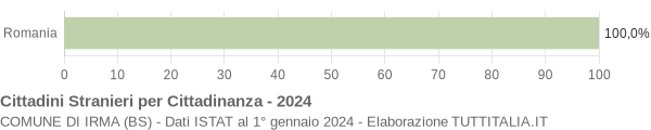 Grafico cittadinanza stranieri - Irma 2024