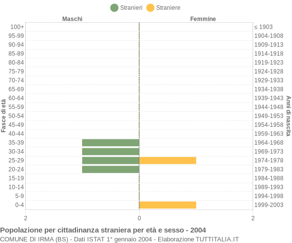 Grafico cittadini stranieri - Irma 2004