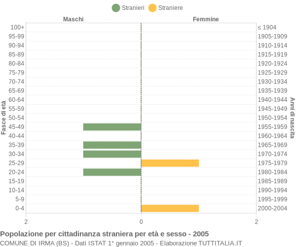 Grafico cittadini stranieri - Irma 2005