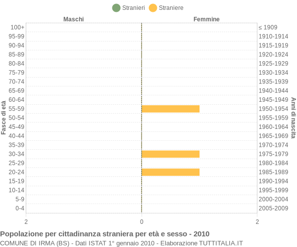 Grafico cittadini stranieri - Irma 2010