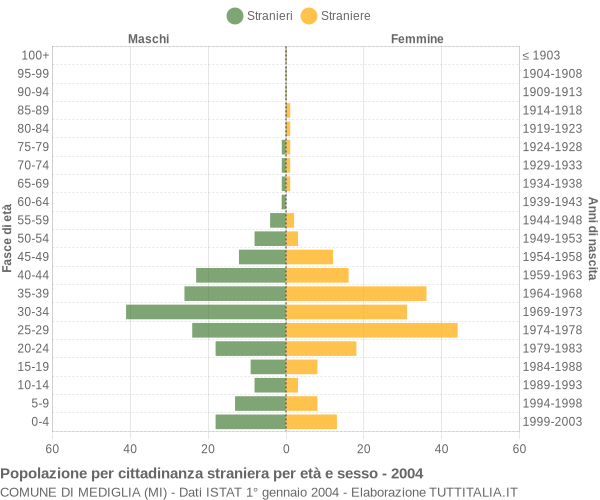Grafico cittadini stranieri - Mediglia 2004