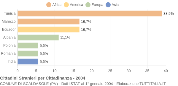 Grafico cittadinanza stranieri - Scaldasole 2004