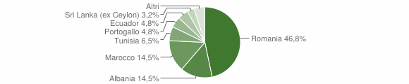 Grafico cittadinanza stranieri - Scaldasole 2011