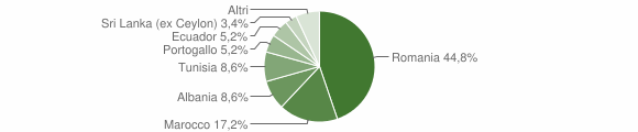 Grafico cittadinanza stranieri - Scaldasole 2012