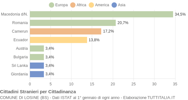 Grafico cittadinanza stranieri - Losine 2010