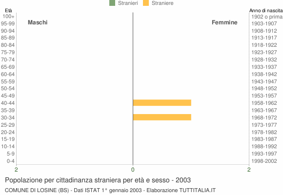 Grafico cittadini stranieri - Losine 2003