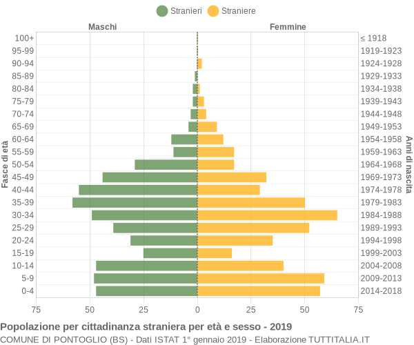 Grafico cittadini stranieri - Pontoglio 2019