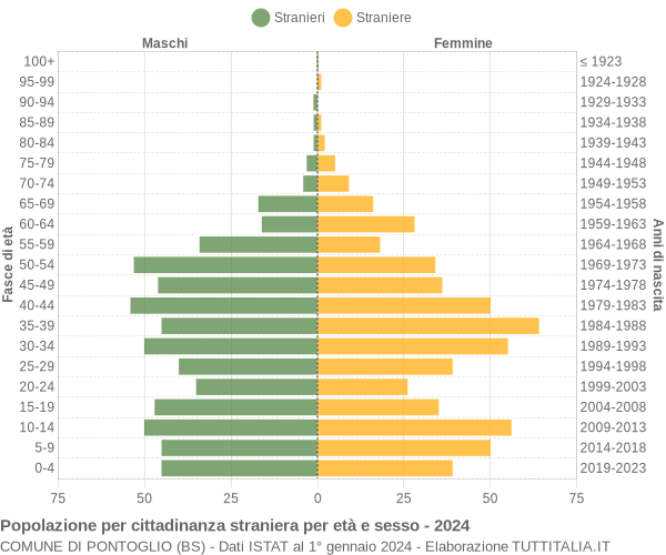 Grafico cittadini stranieri - Pontoglio 2024