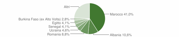 Grafico cittadinanza stranieri - Sirtori 2009