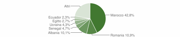 Grafico cittadinanza stranieri - Sirtori 2011