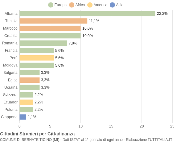 Grafico cittadinanza stranieri - Bernate Ticino 2005