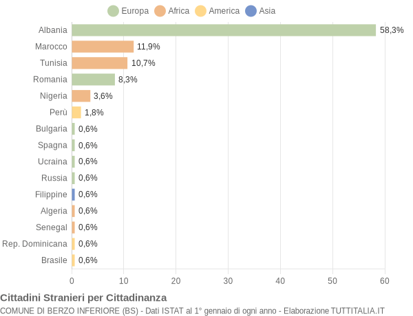 Grafico cittadinanza stranieri - Berzo Inferiore 2010