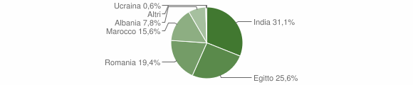 Grafico cittadinanza stranieri - Casalmorano 2012