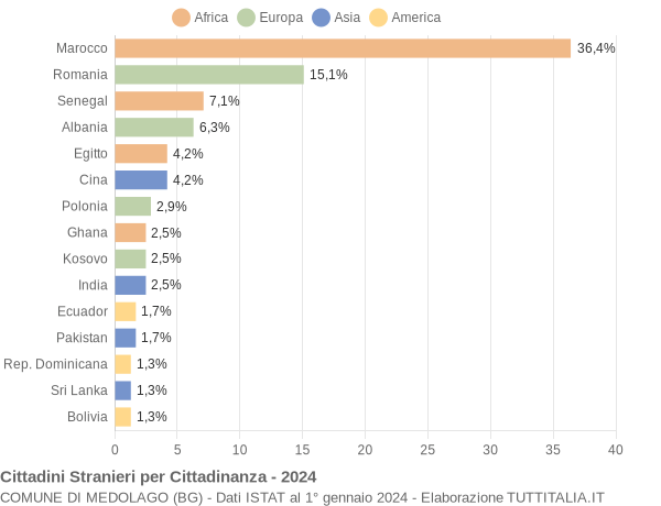 Grafico cittadinanza stranieri - Medolago 2024