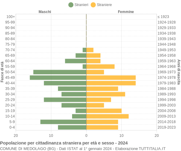 Grafico cittadini stranieri - Medolago 2024