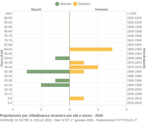 Grafico cittadini stranieri - Oltre il Colle 2020