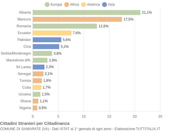 Grafico cittadinanza stranieri - Samarate 2006