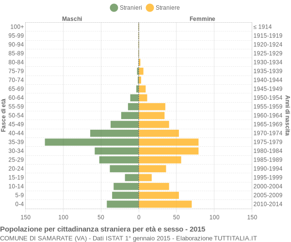 Grafico cittadini stranieri - Samarate 2015