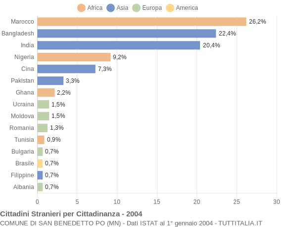 Grafico cittadinanza stranieri - San Benedetto Po 2004