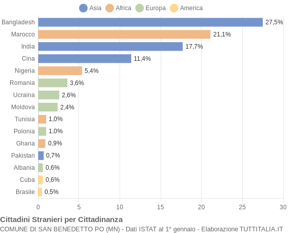 Grafico cittadinanza stranieri - San Benedetto Po 2010