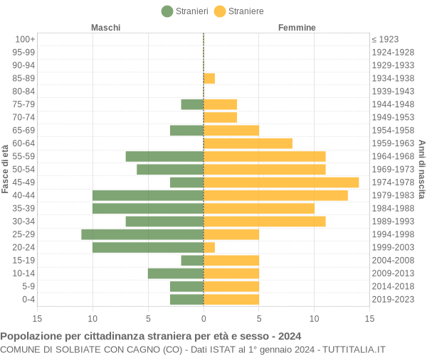 Grafico cittadini stranieri - Solbiate con Cagno 2024