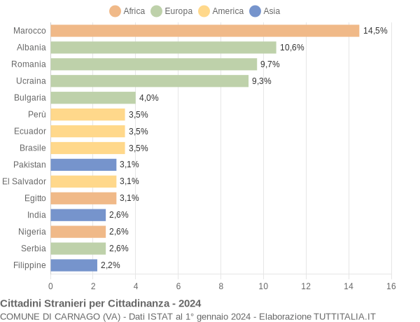 Grafico cittadinanza stranieri - Carnago 2024