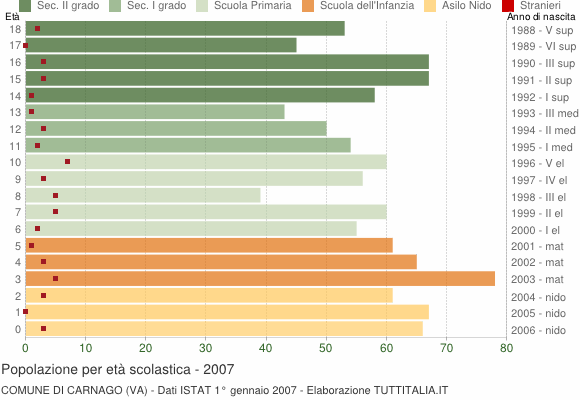 Grafico Popolazione in età scolastica - Carnago 2007