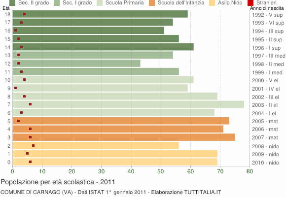 Grafico Popolazione in età scolastica - Carnago 2011