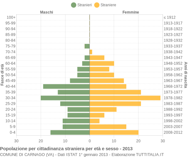 Grafico cittadini stranieri - Carnago 2013