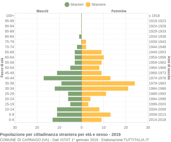 Grafico cittadini stranieri - Carnago 2019