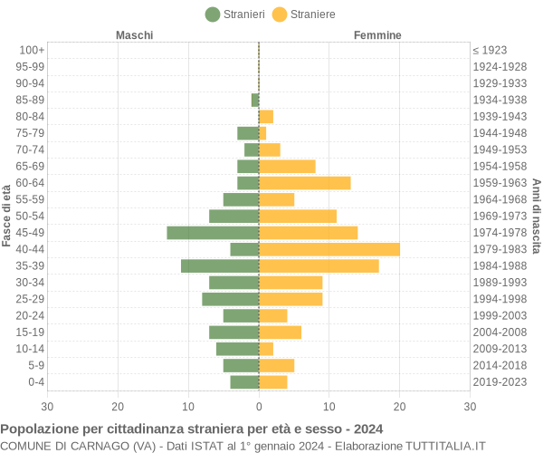 Grafico cittadini stranieri - Carnago 2024