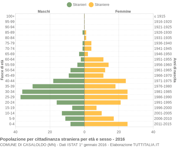 Grafico cittadini stranieri - Casaloldo 2016