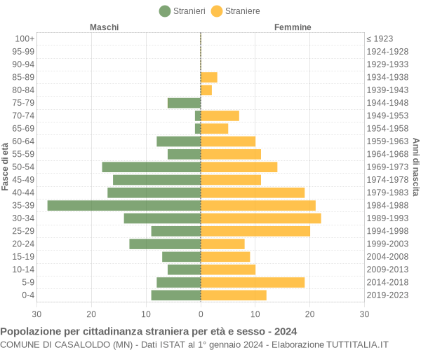 Grafico cittadini stranieri - Casaloldo 2024