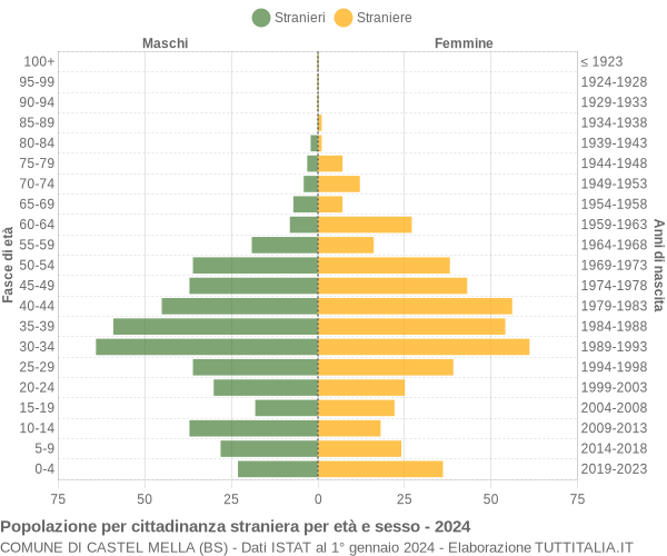 Grafico cittadini stranieri - Castel Mella 2024