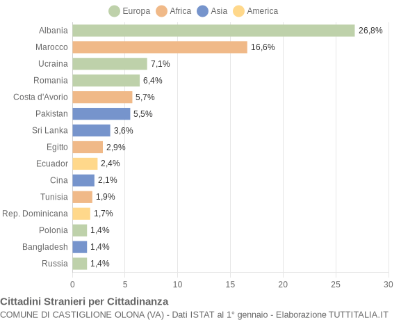 Grafico cittadinanza stranieri - Castiglione Olona 2013