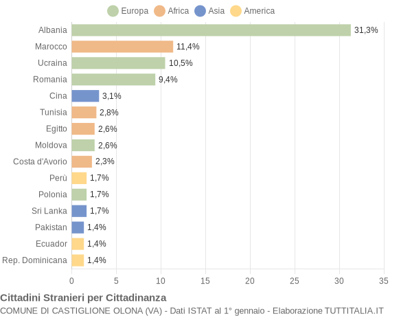 Grafico cittadinanza stranieri - Castiglione Olona 2019