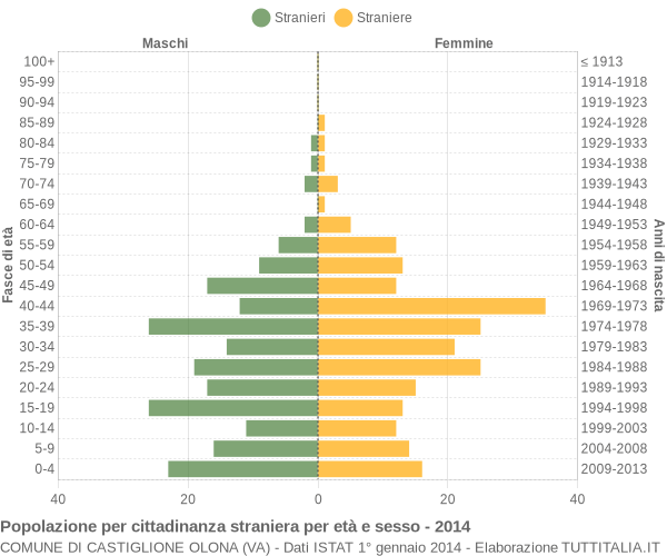 Grafico cittadini stranieri - Castiglione Olona 2014