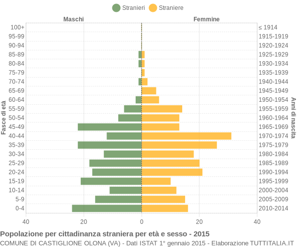 Grafico cittadini stranieri - Castiglione Olona 2015