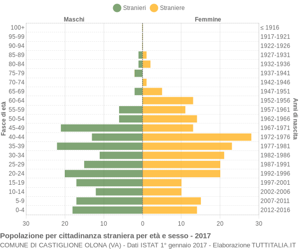 Grafico cittadini stranieri - Castiglione Olona 2017